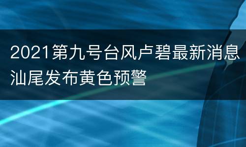 2021第九号台风卢碧最新消息汕尾发布黄色预警