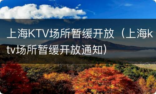 上海KTV场所暂缓开放（上海ktv场所暂缓开放通知）