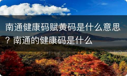 南通健康码赋黄码是什么意思? 南通的健康码是什么