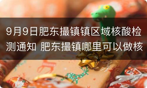 9月9日肥东撮镇镇区域核酸检测通知 肥东撮镇哪里可以做核酸