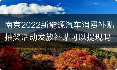 南京2022新能源汽车消费补贴抽奖活动发放补贴可以提现吗
