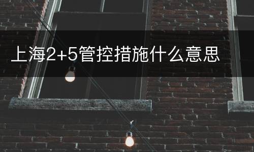 上海2+5管控措施什么意思
