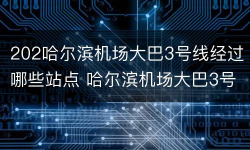 202哈尔滨机场大巴3号线经过哪些站点 哈尔滨机场大巴3号线终点站