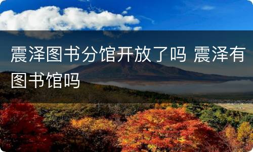 震泽图书分馆开放了吗 震泽有图书馆吗