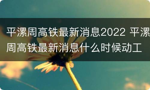 平漯周高铁最新消息2022 平漯周高铁最新消息什么时候动工大河报