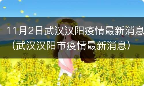 11月2日武汉汉阳疫情最新消息（武汉汉阳市疫情最新消息）