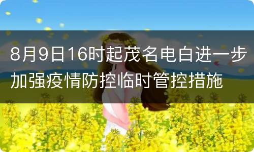 8月9日16时起茂名电白进一步加强疫情防控临时管控措施