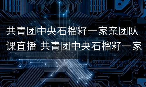共青团中央石榴籽一家亲团队课直播 共青团中央石榴籽一家亲主题团队课直播