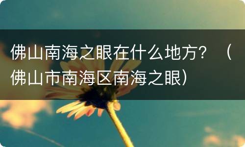 佛山南海之眼在什么地方？（佛山市南海区南海之眼）