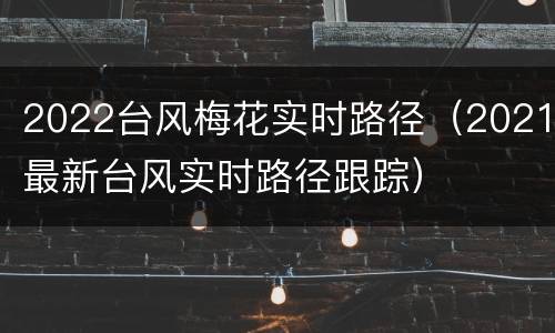 2022台风梅花实时路径（2021最新台风实时路径跟踪）