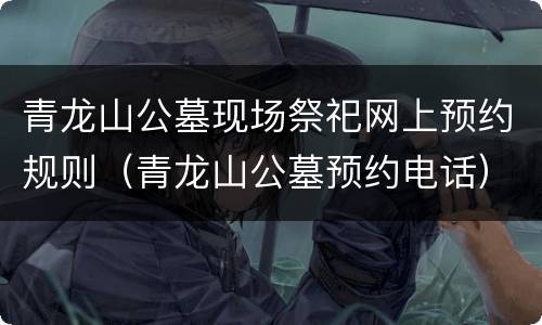 青龙山公墓现场祭祀网上预约规则（青龙山公墓预约电话）