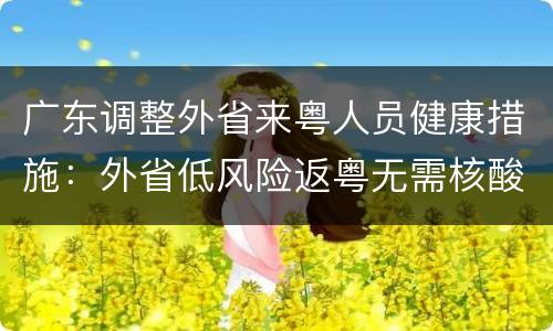 广东调整外省来粤人员健康措施：外省低风险返粤无需核酸检测
