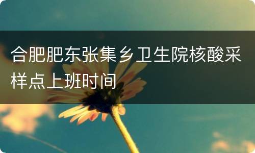 合肥肥东张集乡卫生院核酸采样点上班时间