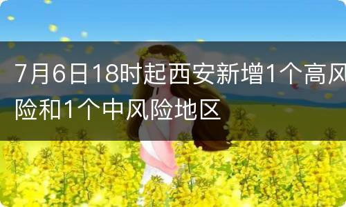 7月6日18时起西安新增1个高风险和1个中风险地区