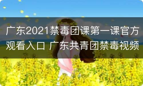 广东2021禁毒团课第一课官方观看入口 广东共青团禁毒视频