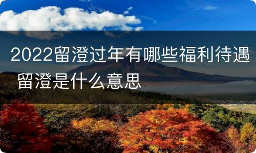 2022留澄过年有哪些福利待遇 留澄是什么意思