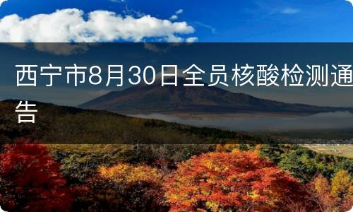 西宁市8月30日全员核酸检测通告