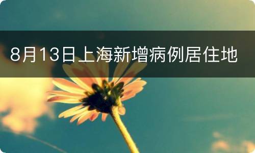 8月13日上海新增病例居住地