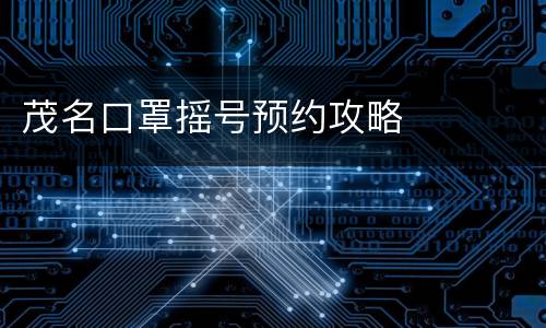 茂名口罩摇号预约攻略