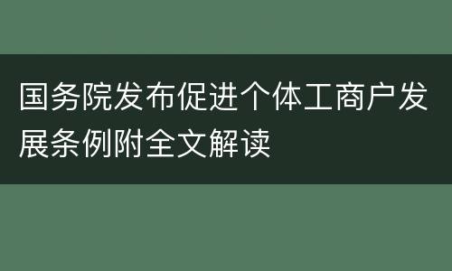 国务院发布促进个体工商户发展条例附全文解读