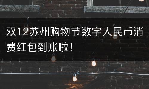双12苏州购物节数字人民币消费红包到账啦！
