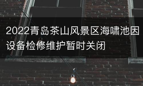 2022青岛茶山风景区海啸池因设备检修维护暂时关闭