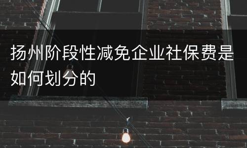 扬州阶段性减免企业社保费是如何划分的