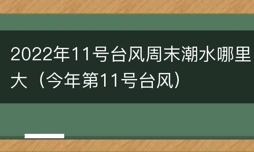 2022年11号台风周末潮水哪里大（今年第11号台风）