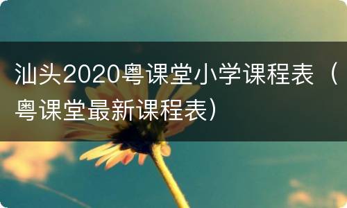 汕头2020粤课堂小学课程表（粤课堂最新课程表）