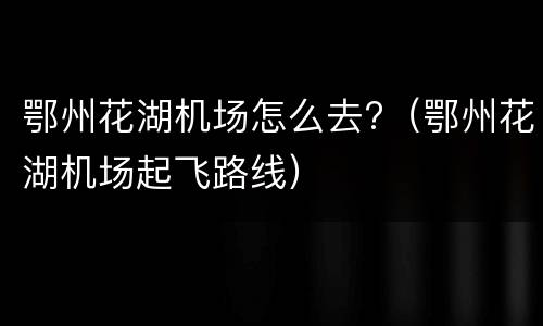 鄂州花湖机场怎么去?（鄂州花湖机场起飞路线）