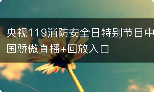 央视119消防安全日特别节目中国骄傲直播+回放入口
