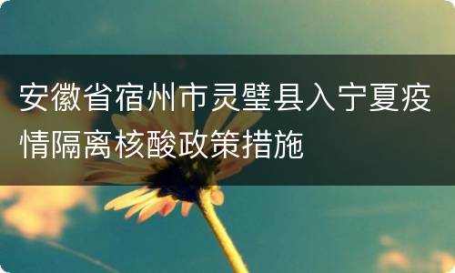 安徽省宿州市灵璧县入宁夏疫情隔离核酸政策措施