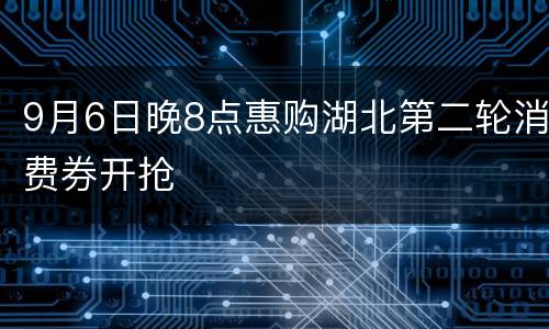 9月6日晚8点惠购湖北第二轮消费券开抢