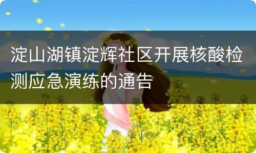 淀山湖镇淀辉社区开展核酸检测应急演练的通告