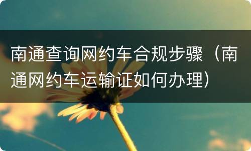南通查询网约车合规步骤（南通网约车运输证如何办理）