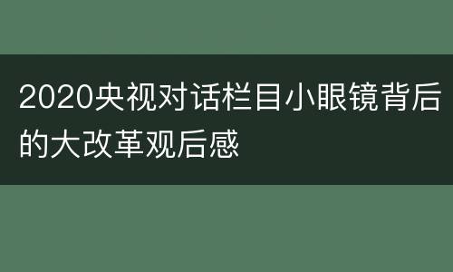 2020央视对话栏目小眼镜背后的大改革观后感