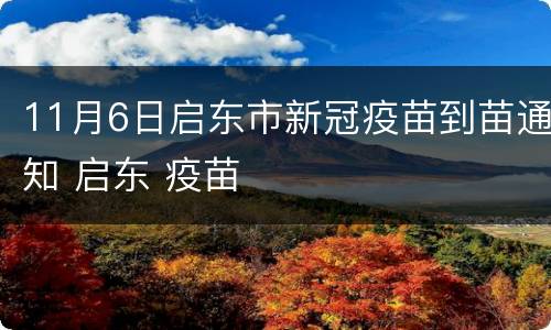 11月6日启东市新冠疫苗到苗通知 启东 疫苗