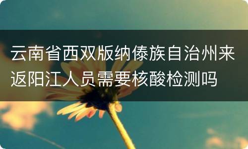 云南省西双版纳傣族自治州来返阳江人员需要核酸检测吗