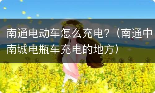 南通电动车怎么充电?（南通中南城电瓶车充电的地方）