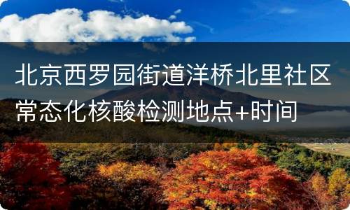 北京西罗园街道洋桥北里社区常态化核酸检测地点+时间