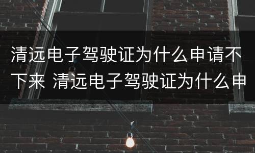 清远电子驾驶证为什么申请不下来 清远电子驾驶证为什么申请不下来了
