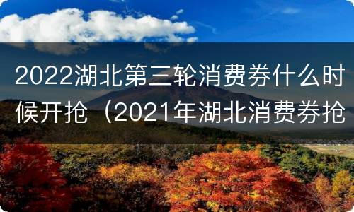 2022湖北第三轮消费券什么时候开抢（2021年湖北消费券抢券时间）