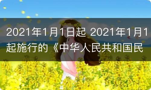 2021年1月1日起 2021年1月1日起施行的《中华人民共和国民法典》