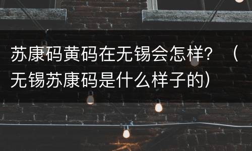 苏康码黄码在无锡会怎样？（无锡苏康码是什么样子的）