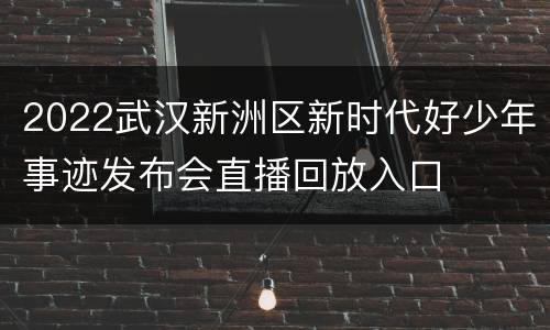 2022武汉新洲区新时代好少年事迹发布会直播回放入口