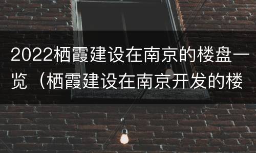 2022栖霞建设在南京的楼盘一览（栖霞建设在南京开发的楼盘）