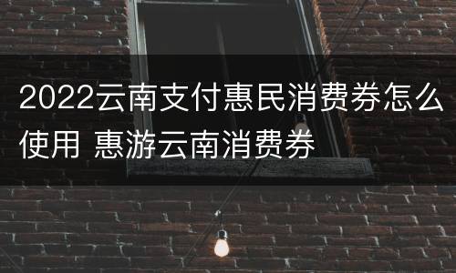2022云南支付惠民消费券怎么使用 惠游云南消费券