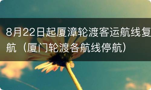 8月22日起厦漳轮渡客运航线复航（厦门轮渡各航线停航）
