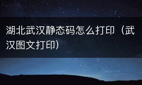 湖北武汉静态码怎么打印（武汉图文打印）