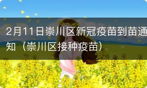 2月11日崇川区新冠疫苗到苗通知（崇川区接种疫苗）